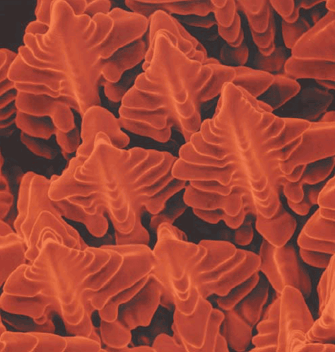 Dendrites in a Ni-based superalloy single-crystal weld (by David, Babu, and Vitek - JOM 6/03)
